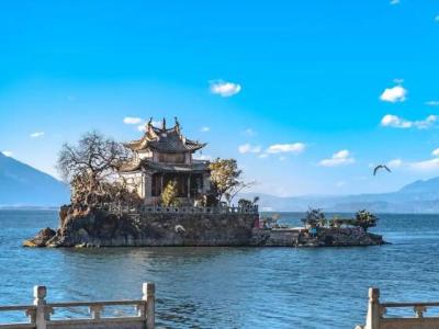 摄影 摄像 仓洱大道 龙龛码头